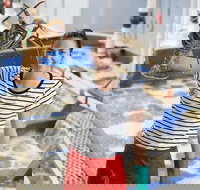 Pinnacles Desert Koalas and Sandboarding 4WD Day Tour from Perth - 2032 Olympic Games