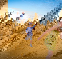 Full-Day Pinnacles Desert and Yanchep National Park Tour From Perth - 2032 Olympic Games