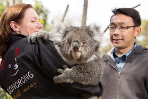 Bonorong Wildlife Park And Richmond Afternoon Tour From Hobart - 2032 Olympic Games 0