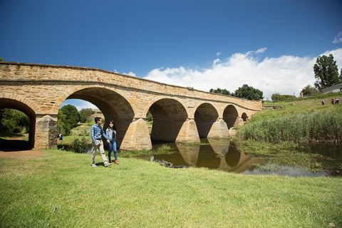 Bonorong Wildlife Park And Richmond Afternoon Tour From Hobart - 2032 Olympic Games 2