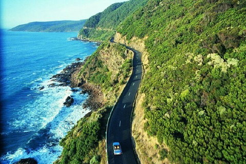 Melbourne Super Saver: Great Ocean Road + Mornington Peninsula + Attraction Pass - 2032 Olympic Games 0