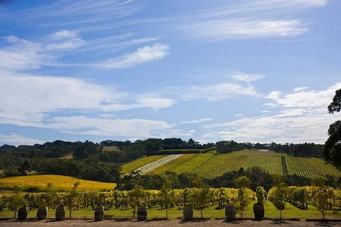 Melbourne Super Saver: Great Ocean Road + Mornington Peninsula + Attraction Pass - 2032 Olympic Games 5