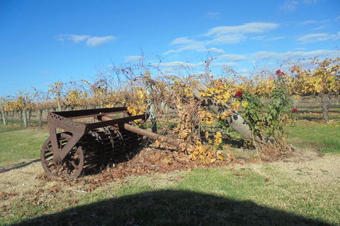 Swan Valley Tour From Perth: Wine, Beer And Chocolate Tastings - 2032 Olympic Games 3