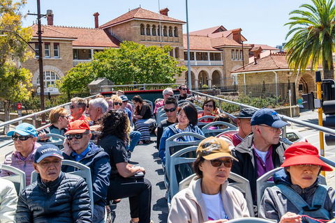 Perth Hop-On Hop-Off Bus Tour - 2032 Olympic Games 1