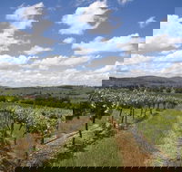Hunter Valley Wine Tour from Sydney incl Lunch Cheese Chocolate and Distillery - 2032 Olympic Games