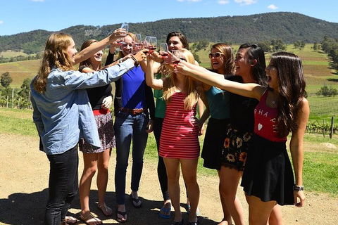 Hunter Valley Wine Tour From Sydney Incl Lunch, Cheese, Chocolate And Distillery - 2032 Olympic Games 3