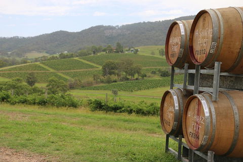 Hunter Valley Wine Tour From Sydney Incl Lunch, Cheese, Chocolate And Distillery - 2032 Olympic Games 5