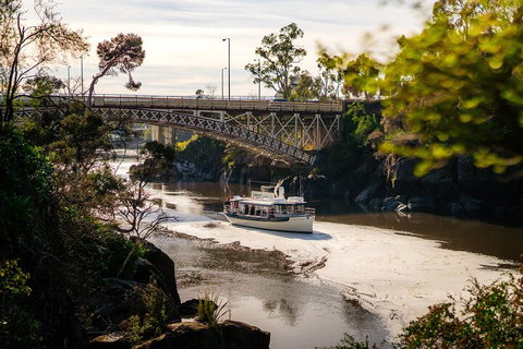 Cataract Gorge Cruise 11:30 Am - 2032 Olympic Games 4