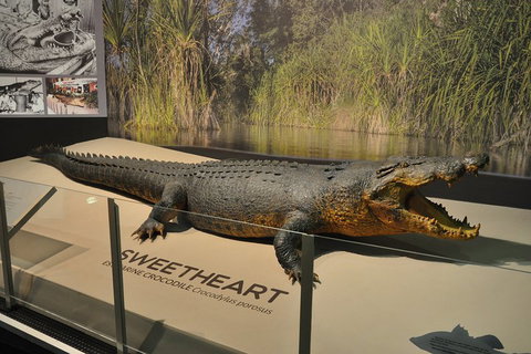 Explore Darwin City Sights Including Key Attractions - 2032 Olympic Games 2