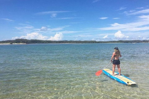 Golden Beach 1-Hour Stand-Up Paddleboard Hire On The Sunshine Coast - 2032 Olympic Games 4