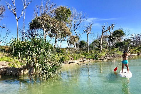 Golden Beach 1-Hour Stand-Up Paddleboard Hire On The Sunshine Coast - 2032 Olympic Games 5